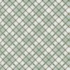 P&B Textiles Lakeside Days Lodge Plaid Green