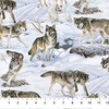 Northcott Naturescapes Wild At Heart Wolves Light Blue/Multi