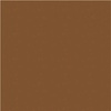 Windham Fabrics Nature Study 2.0 Astra Chestnut