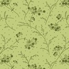 Maywood Studio Kimberbell Basics Classic Make A Wish Green