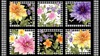Wilmington Prints In Bloom Block Panel