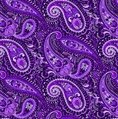 Blank Quilting Shelby 108 Inch Backing Purple