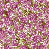 Maywood Studio Veranda Packed Floral Cream