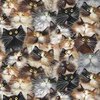 Windham Fabrics Quilt Back 108 Inch Wide Backing Fabric Cat Pack Fur