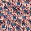 QT Fabrics Stars, Stripes, and Steel Waving American Flag Cream