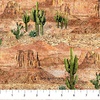 Northcott Stonehenge Sedona Spirit Landscape Light Rust