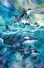 Northcott Whale Song Panel