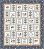 Find Your Path II Free Quilt Pattern