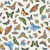 Windham Fabrics Butterfly Collector Lepidoptery Ivory
