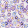 Moda Delphinium Auricula Snowdrop
