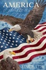 Northcott Stonehenge Stars and Stripes 13 Panel