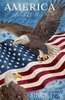 Northcott Stonehenge Stars and Stripes 13 Panel