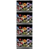 In The Beginning Fabrics Blooming Day and Night Border Night