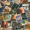 Riley Blake Designs National Parks Postcard Toss Multi