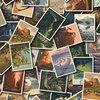 Riley Blake Designs National Parks Postcard Toss Multi