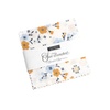 Sun Drenched Mini Charm Pack By Moda