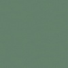 Windham Fabrics Nature Study 2.0 Pile Spinach