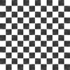 Studio E Fabrics Paranormal Parade Check Black/White