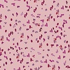 QT Fabrics Dahlia Dreams Confetti Geo Dusty Pink