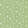 Riley Blake Designs Peter Rabbit and Friends Jasmine Green