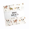 Lucky Charm Pack by Moda