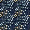 Riley Blake Designs It's A Boy Stars Navy