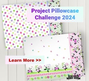 Pillowcase Challenge 2024