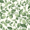 Maywood Studio Lilac Lane Leaves Cream