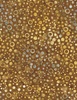 Wilmington Prints Granite Bay Batik Dots Brown