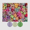 Color Inspiration Series: Aurifil Thread - SUCCULENTS