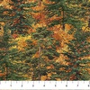Northcott Autumn Woodland Naturescapes Trees Rust