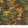 Northcott Autumn Woodland Naturescapes Trees Rust