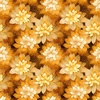 QT Fabrics Swan Song Lotus Flowers Burnt Orange