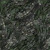 P&B Textiles Meadow Breeze 108 Inch Wide Backing Fabric Meadow Black