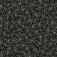 P&B Textiles Hocus Pocus Allover Webs Black