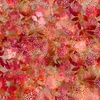 In The Beginning Fabrics Allure Mums Red