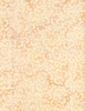 Wilmington Prints Copper Mountain Batiks Cheetah Prints Tan