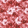 Robert Kaufman Fabrics Flowerhouse Softly Packed Flowers Blush