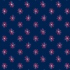 Andover Fabrics Tradition Star Burst Blue
