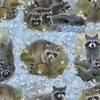 3 Wishes Fabric Through the Forest Light Raccoon Portraits Blue
