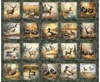 QT Fabrics Forest, Field and Stream Wildlife Pictures Patches Pine