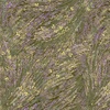 P&B Textiles Meadow Breeze 108 Inch Wide Backing Fabric Meadow Mint