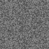 Andover Fabrics Fairy Rings  Charcoal