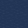 Riley Blake Designs Between the Pages Starlight Navy