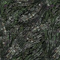 P&B Textiles Meadow Breeze 108 Inch Wide Backing Fabric Meadow Black