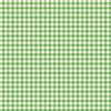 Riley Blake Designs Summer Skies and Fireflies Gingham Green