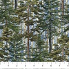 Northcott Timber Trails Naturescapes Evergreen Trees Blue/Multi