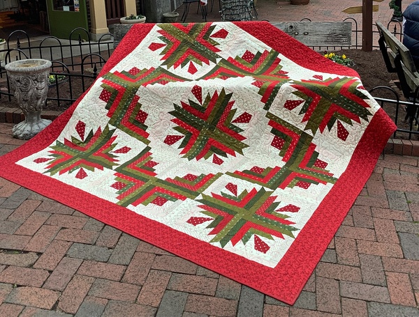 Cactus In The Cabin Quilt Sew-Along