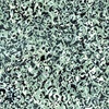 Riley Blake Designs Expressions Batiks Victorian Garden Sage