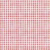 Riley Blake Designs Firework Fields Gingham Red